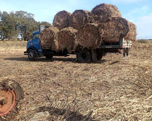 Transporte Carga Provincia Buenos Aires/ Entre Rios