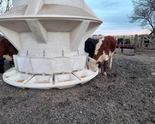 Silo Comedero Autoconsumo 7.000 Kg Rotor