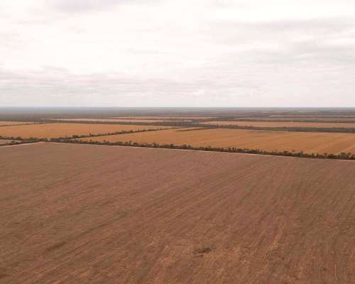 Pcia. de Salta - el Quebrachal 645 Has