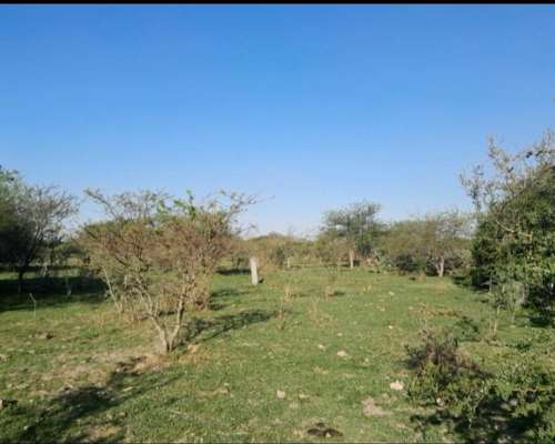 Campo Cerca de Feliciano