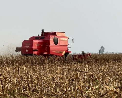 Don Roque RV170 Excelente Estado Biancucci Maquinarias