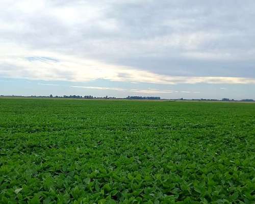 Casero para Campo en Gral las Heras, BS AS