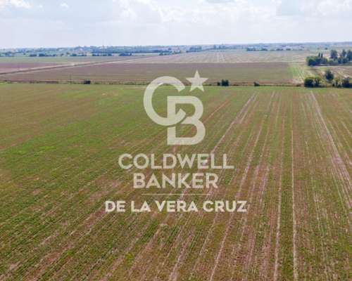 San Agustin, Santa FE Campo Mixto