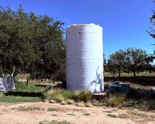 Alem Chacra en Produccion Ovina y Avicola