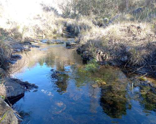 Venta Campo de 29 Ha en Villa Berna Calamuchita Córdoba
