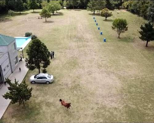 Matrimonio para Cuidado de Predio y Ayuda Domestica