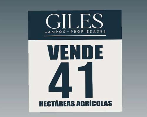 Campo Agrícola 41 Hectáreas