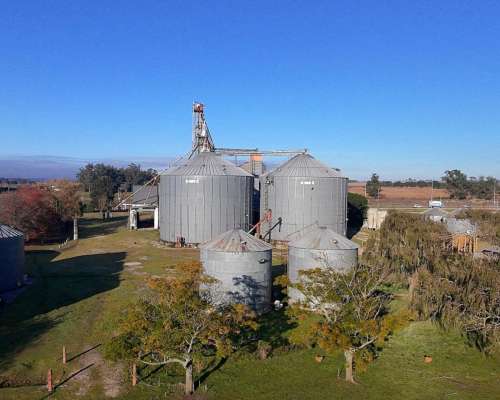 Campo con Acopio de Cereales Sobre Ruta 88 con Financiación