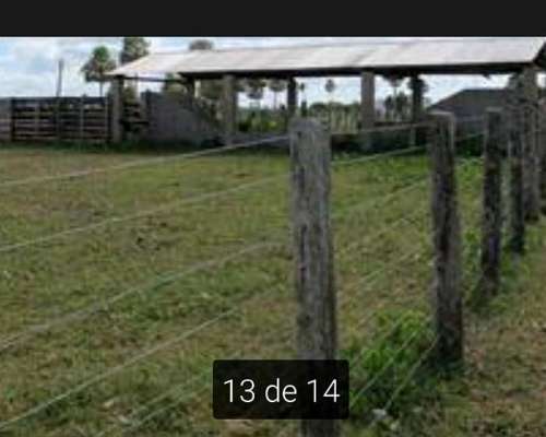 Alquilo 2600 Hectáreas Zona Villa Guillermina