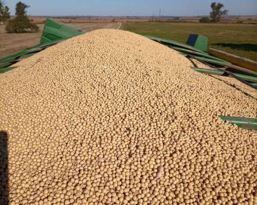 Bernardin M21, Motor Deutz 160hp, Trabajando Actualmente