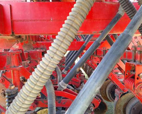 Semb Fino - Crucianelli Pionera 21 a 26