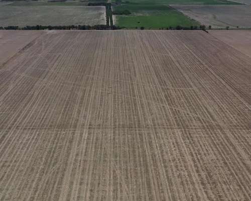 San Luis Naschel 160 Has Agrícolas