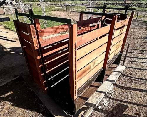 Balanza Electrónica para Pesaje de Hacienda