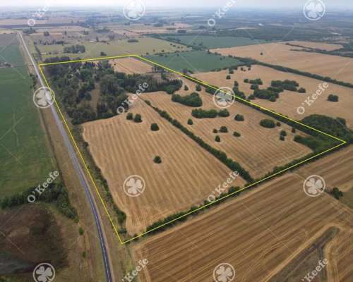 Campo en Venta de 80 Has en Gualeguay, Entre Rios. Agricola.