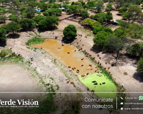 3600 Has en Venta - Pcia de Chaco, Almirante Brown