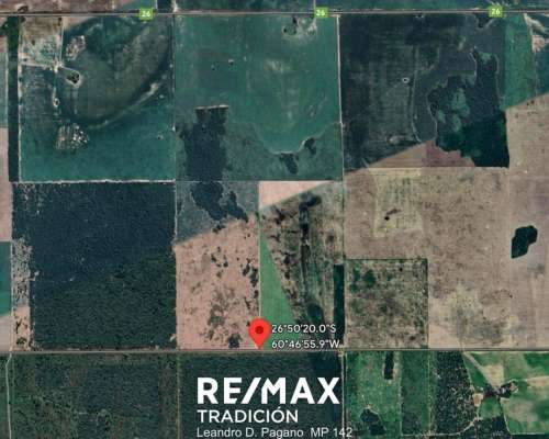 Campo de 50 Has - Pampa Oculta - Campo Largo