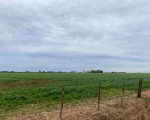 Campo 92 Hectareas Madariaga