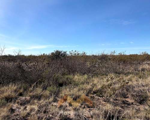 15.000 Ha Ganaderas en Lihuel Calel