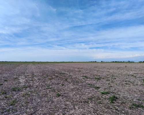 Vendo 135 Has Agricolas Basavilbaso ER