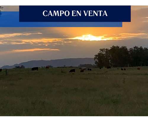 100 Has Junin Buenos Aires