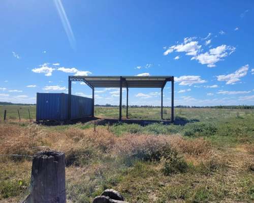 En Venta Campo Mixto de 121 Has en Ingenio Moneta San Pedro