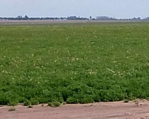 Vendo Campo Mixto Suelo 3 en Santa FE