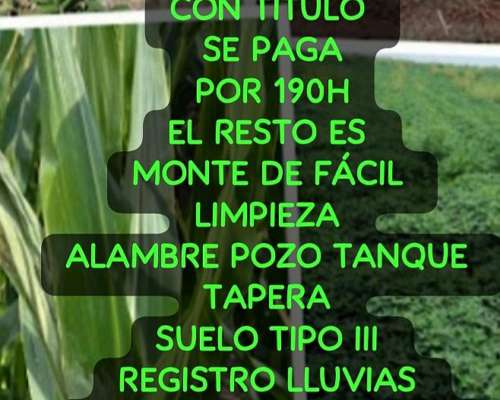 187 Has Monte del Rosario Córdoba