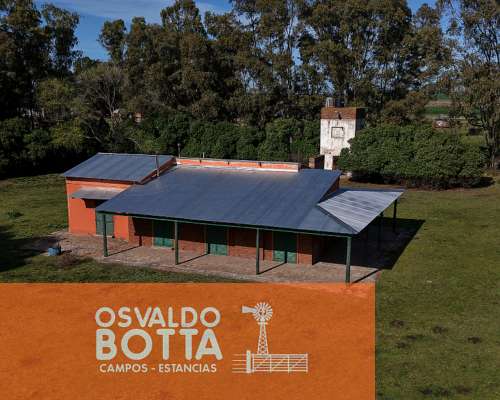 Campo Agricola en Venta, 600 Has Coronel Dorrego, BS AS