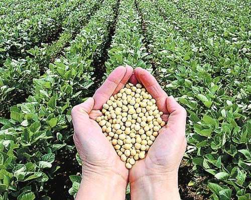 Campo Agricola Rio Cuarto 280 HA.