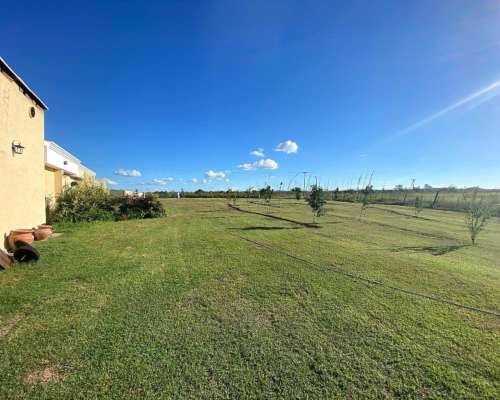 Vendo Campo en San Francisco del Chañar