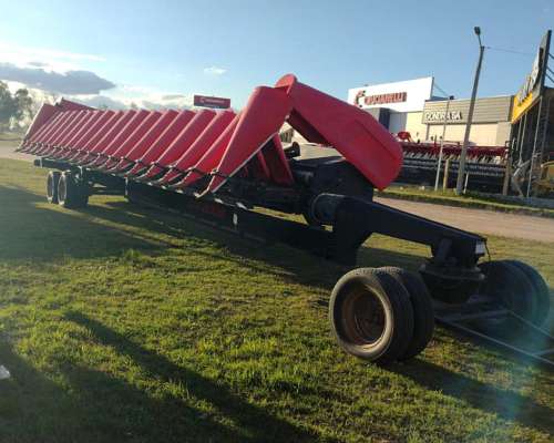 Cabezal Maicero Ombú de 18 a 52 año 2018