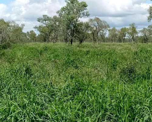Felicity Midi Dress in Navy Teardrop