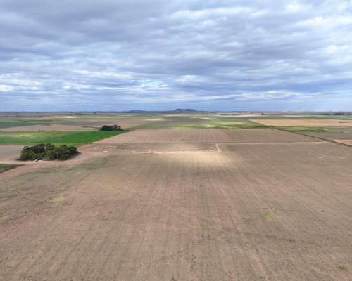 Pcia. de Cordoba - Sampacho 601 Has