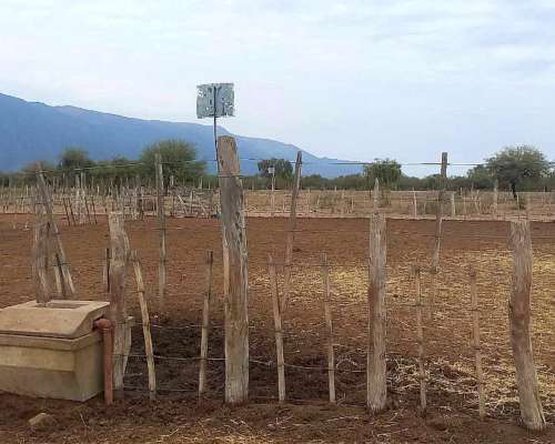 Campo Agricola Ganadero Ferlot en Catamarca