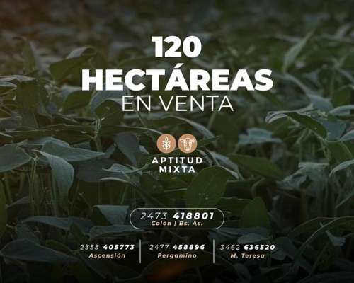 120 Has Mixtas en Labordeboy