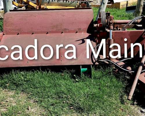 Picadora Mainero, Directo de Campo