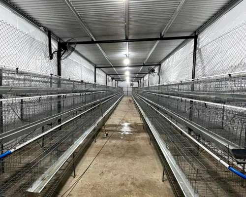 Galpones para Granja de Ponedoras