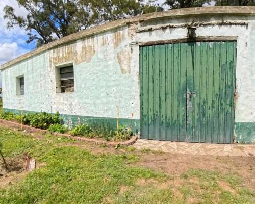 77 Hectáreas Sobre Ruta N°5 – Suipacha (bs. As.)