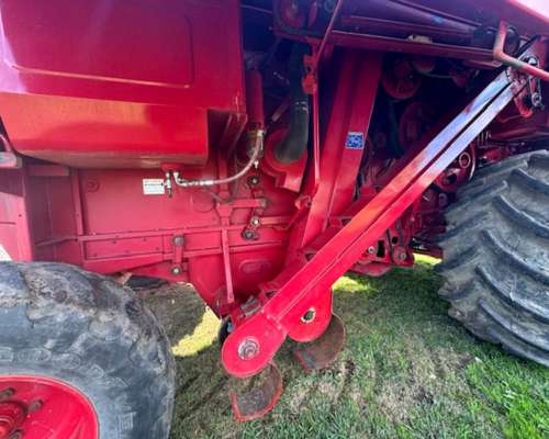 Vassalli 1550 año 2009