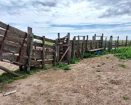 Campo en Chasico - Torquinst 665 Has