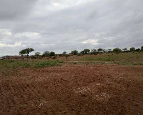 🌾 Campo Mixto en Alquiler – 72 Hectáreas – Añatuya, Santiag