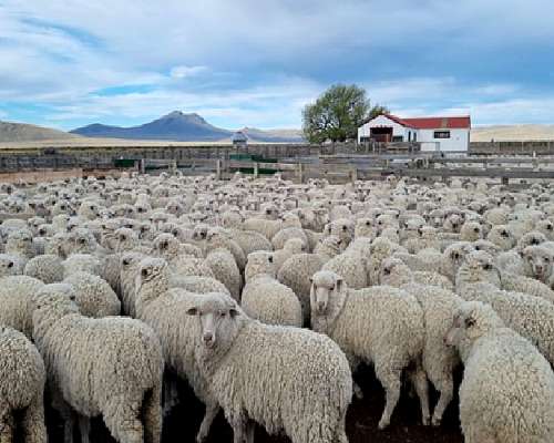 Campo Chubut 165.429 Hectareas Costa de Rio Potencial Eólico