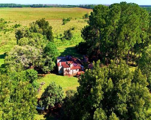 Santo Tomé - 2365 Ha - Corrientes