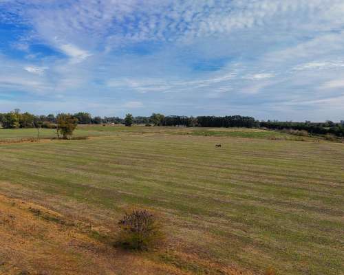 Fracción de Campo 100 % Agrícola en San Andrés de Giles.