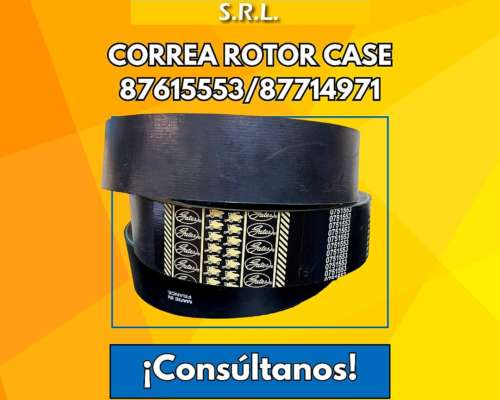 Correa Rotor Case 87615553/87714971