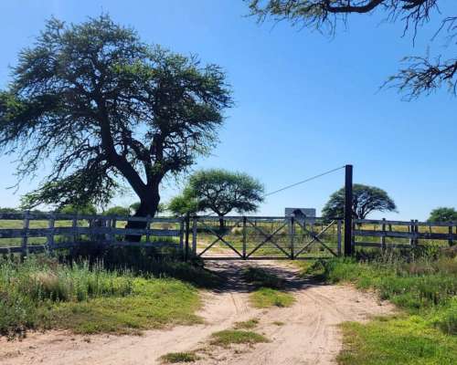 Juan Martin de Pueyrredón, San Luis - 2.350 Ha