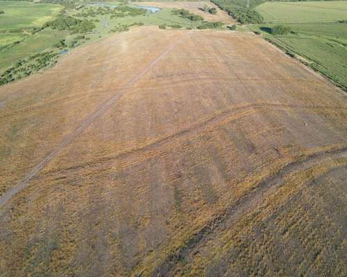250 Hectáreas de Campo Agrícola en Gualeguaychú, Sobre Ripio