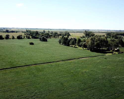 60 Has. Haras en Parada Robles