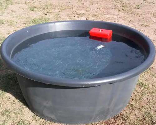 Comedero / Bebedero Circular 600 Lts – Polietileno Reforzado