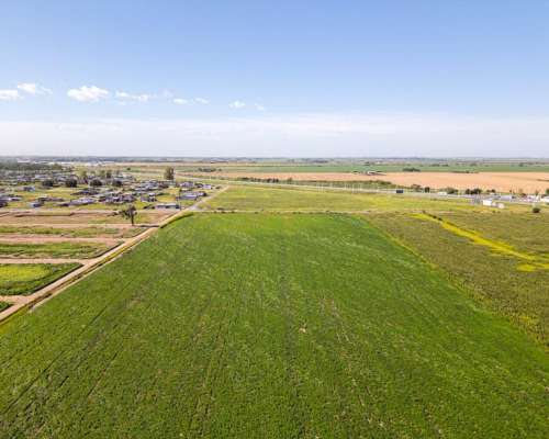 25ha Timbues - Ideal Loteo